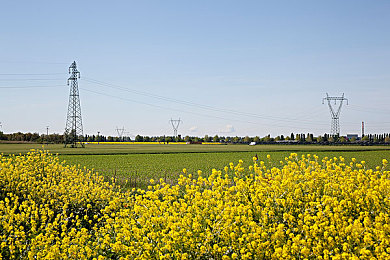 99色熱：家居新寵，色彩盛宴-1