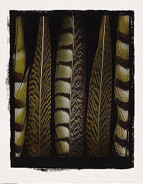 3個(gè)按摩師添我做爰：按摩門事件：服務(wù)創(chuàng)新還是道德淪喪？