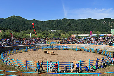 唐三與比比東不亦樂乎nba,電競(jìng)主播跨界NBA，電競(jìng)?cè)Ψ序v！-1