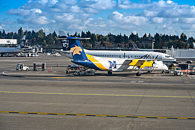 91制片女主顏值排行榜:女明星顏值榜:女神們的魅力對決-1