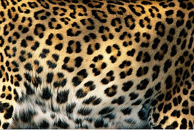 X姓女RAPPER的家鄉(xiāng)特色：山水融合，RAP女神走紅-1