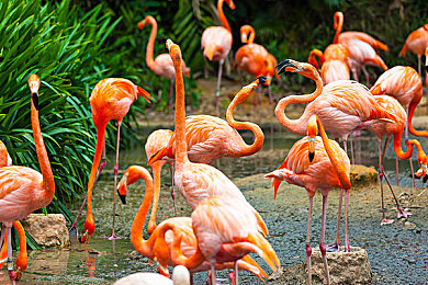 40歲阿姨荒野大鏢客最新上映：40歲阿姨玩《荒野大鏢客》驚艷眾人