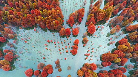 100款流盲軟件免費(fèi)下載：百款神器免費(fèi)領(lǐng)，手機(jī)生活大不同-1