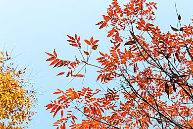 9I制作廠白晶晶：智造先鋒，白晶晶引領(lǐng)潮流