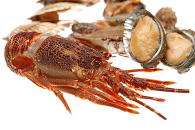 GayFuck無(wú)套:同性戀性行為引發(fā)安全警示-1