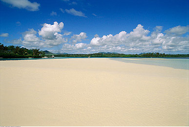 GayFuckTube西北君君：短視頻達(dá)人走紅，西北風(fēng)趣生活引關(guān)注-2