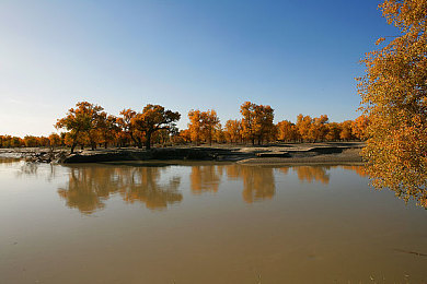 pixiv官網(wǎng)：藝術(shù)游戲新體驗(yàn)，pixiv官網(wǎng)潮流來襲-1