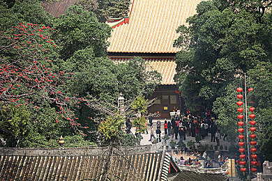 3.0.3免費(fèi)OPPO版破解大全免費(fèi)下載：破解神器：OPPO手機(jī)用戶必看！-2