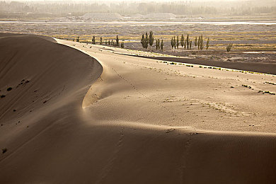 未滿十八十八免費(fèi)無碼網(wǎng)站,奇幻異世界冒險(xiǎn)，免費(fèi)無碼游戲來襲-1