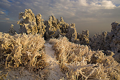 99這里只有：都市秘境，魅力街區(qū)-2