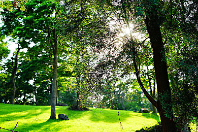 69人人人人人：短視頻達(dá)人創(chuàng)新舞步走紅，成網(wǎng)絡(luò)熱門話題