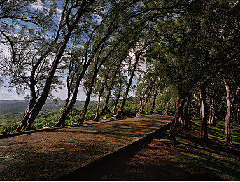 3.03免費OPPO版破解大全免費下載：OPPO破解大全免費解鎖，潛能無限！-4