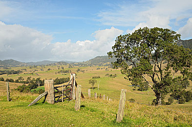 china老太婆6070：老年女性新風(fēng)采，家庭社會雙擔(dān)當(dāng)-3