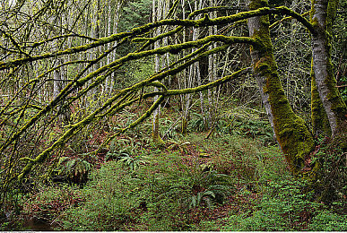 99re免費視頻：視頻盛宴，一網(wǎng)打盡-2