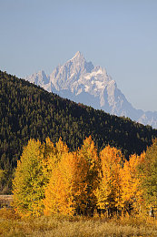 8x8x海外華為永久 更新時間5：華為全球升級，新品體驗再升級-3