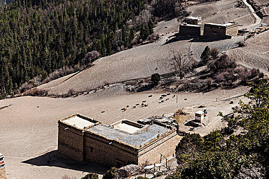 火影黃油,經(jīng)典IP新升級(jí)，火影游戲引期待