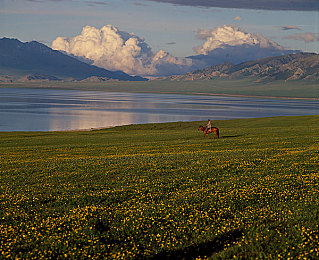 81個意外走7028合集：驚！81事故7028人受影響，如何防范？-2