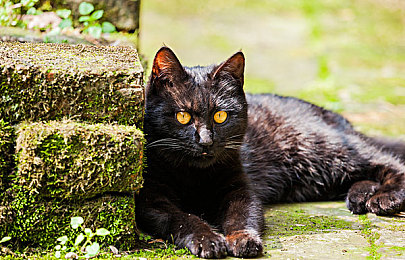 JαPαnese日本護(hù)士ⅩⅩ:日本護(hù)士閃耀中國(guó)醫(yī)療界-2