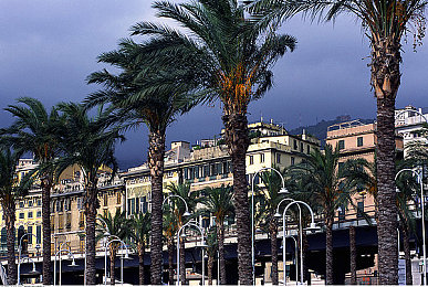 91黃色軟件：應(yīng)用新寵，便捷生活