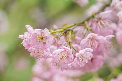 99這里只有：都市秘境，魅力街區(qū)-3