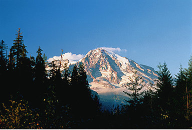 ONE一個成人世界一個成長含義：職場成長秘訣：揭秘成人世界挑戰(zhàn)與機遇-4