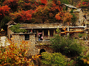 janpense豐滿老師多毛：奇幻冒險，豐滿導(dǎo)師引熱議-1