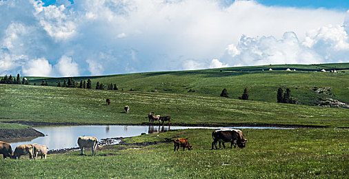 天天干天天爽,游戲新寵：暢爽冒險(xiǎn)，天天干天天爽-2