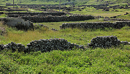 3.0.3免費(fèi)oppo版破解大全：破解秘籍！暢玩3.0.3免費(fèi)版-3