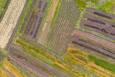 JuliaAnn與黑人的粗大：游戲界神級組合，JuliaAnn與黑人玩家默契搭檔-2