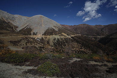 GOGO全球高清大膽專業(yè)：高清盛宴，GOGO平臺獨領風騷-3