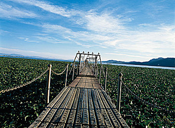 jd京東影業(yè)傳媒www軟件介紹:影視神器:京東影視軟件大揭秘-3