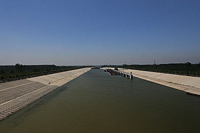 a√天堂資源中文8：數(shù)字天堂，資源盛宴-2