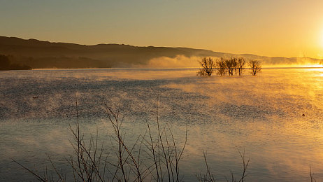 one.yg12.aqq:數(shù)字守護(hù)神:百萬用戶信賴的網(wǎng)絡(luò)安全神器-2