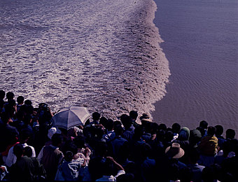 7277.TV艷女：網(wǎng)紅艷女7277TV走紅，才藝驚人-3