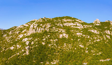 JuliaannXXX與黑人：網(wǎng)紅新戀情甜蜜，顏值才藝獲關(guān)注-2