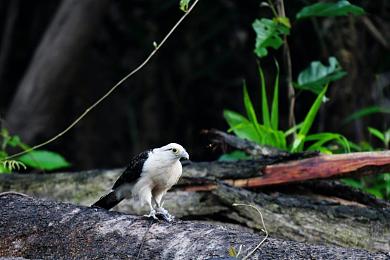 99re這里都是精品：精品匯聚，一網(wǎng)打盡-2