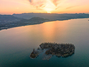 free性滿足hd性bbw樂趣：性福秘籍：高清BBW盛宴探秘-3