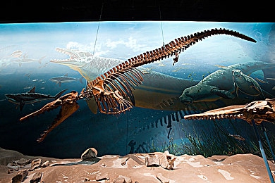 99這里只有精品6：電商新貴，品質(zhì)生活首選-3