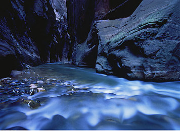 brazzerS艷星大戰(zhàn)黑人:艷星挺身戰(zhàn)種族歧視-3