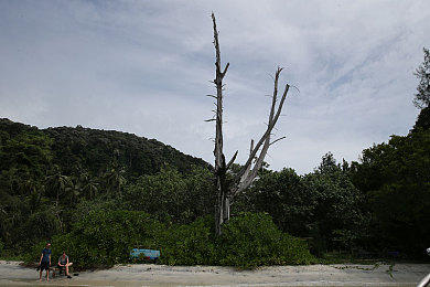 3dmax動(dòng)漫美杜莎初次體會觀看：3D美杜莎驚現(xiàn)游戲界，奇幻之旅等你開啟-4