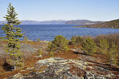 7s9cc最新版本更新內容：軟件升級大揭秘，7s9cc全新體驗來襲-3