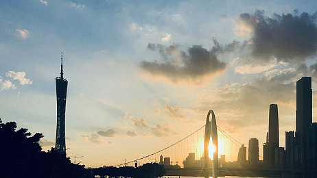 成人的世界一個就夠了,都市白領(lǐng)的減壓秘籍，輕松游戲體驗寧靜時光-1