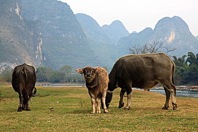 69樂(lè)園夫婦交友群：已婚夫婦專屬，交友新天地-3
