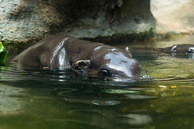 18歲以下禁用軟件：科技護(hù)航，青春無憂-2