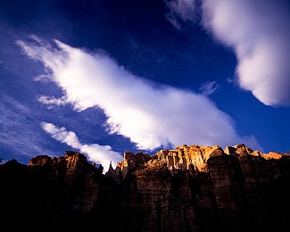 brazzerS艷星大戰(zhàn)黑人:艷星挺身戰(zhàn)種族歧視-4