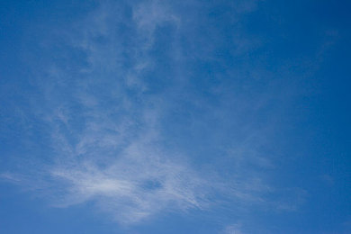 91制片女主顏值排行榜:女明星顏值榜:女神們的魅力對決-2