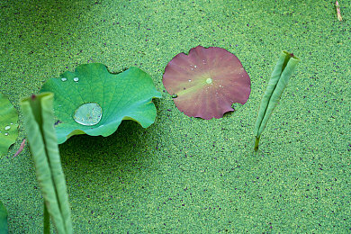 未滿十八十八免費(fèi)無碼網(wǎng)站,奇幻異世界冒險(xiǎn)，免費(fèi)無碼游戲來襲-4