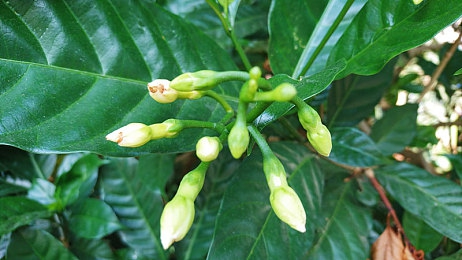 18歲以下禁用軟件：科技護(hù)航，青春無憂-3