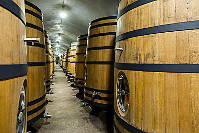 未滿十八十八免費(fèi)無碼網(wǎng)站,奇幻異世界冒險(xiǎn)，免費(fèi)無碼游戲來襲-5