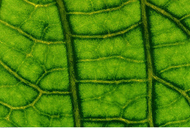 ZookeeperK9牧場：都市綠洲，狗狗樂園-2